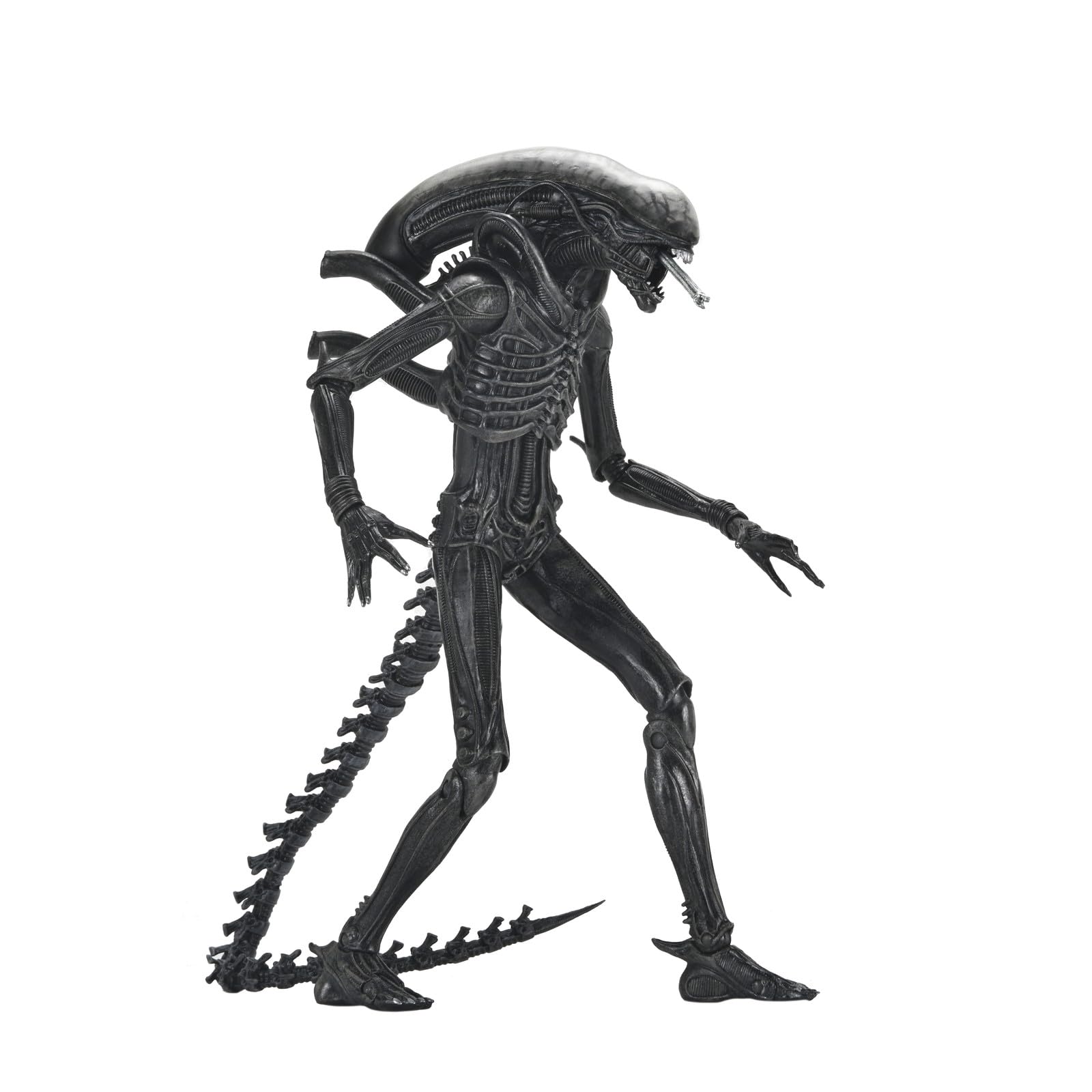 Alien: Romulus - Ultimate Xenomorph XX121 7